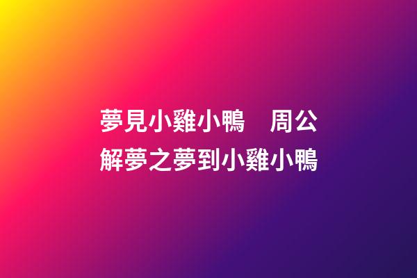 夢見小雞小鴨　周公解夢之夢到小雞小鴨